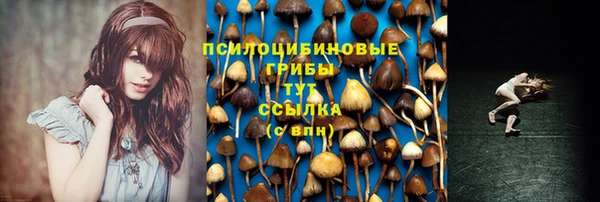 эйфоретик Лабытнанги