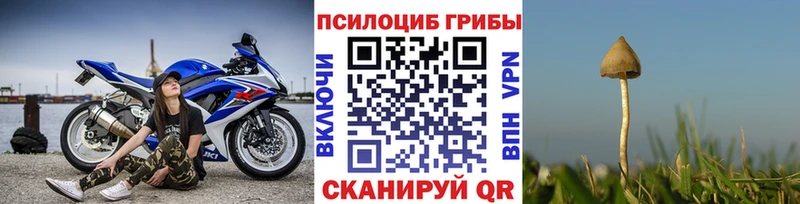 Псилоцибиновые грибы Cubensis Кораблино